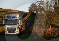 Sycamore Gap tree removed from Hadrian's Wall to be seasoned and reused