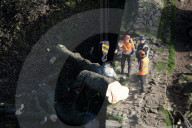 Sycamore Gap tree removed from Hadrian's Wall to be seasoned and reused
