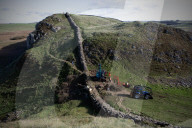 Sycamore Gap tree removed from Hadrian's Wall to be seasoned and reused