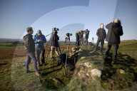 Sycamore Gap tree removed from Hadrian's Wall to be seasoned and reused