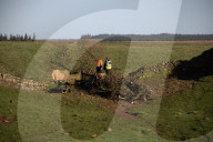 Sycamore Gap tree removed from Hadrian's Wall to be seasoned and reused