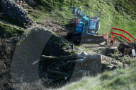Sycamore Gap tree removed from Hadrian's Wall to be seasoned and reused
