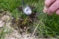 Why we should all dig into poo - all you need is a spoon