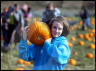 Hitchin Lavender- Pumpkin Patch in Hitchin, UK.