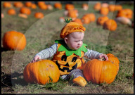 Hitchin Lavender- Pumpkin Patch in Hitchin, UK.