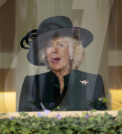 ROYALS - Königin Camilla beim Besuch des QIPCO British Champions Day auf der Rennbahn Ascot