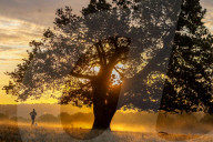 Misty sunrise after Storm Babet in London, UK.