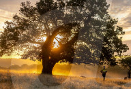 Misty sunrise after Storm Babet in London, UK.