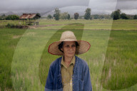 'Major disruptor': El Nino threatens the world's rice supplies