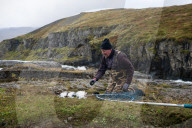 Thousands of salmon escaped an Icelandic fish farm. The impact could be deadly
