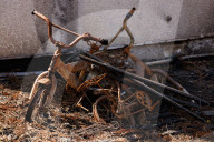 Kibbutzim massacres, three weeks after