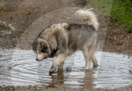 More unsettled weather is expected this week for London and the South East