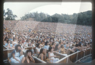 Bruce Springsteen performs during the 'No Nukes' Concert at the Hollywood Bowl 