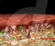 Artificial skin melanin is a burns healer and could be anti-aging cream.                             