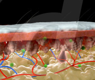 Artificial skin melanin is a burns healer and could be anti-aging cream.                             