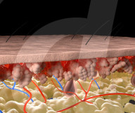 Artificial skin melanin is a burns healer and could be anti-aging cream.                             