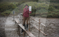 Norfolk villagers and National Trust at loggerheads over 'fairy bridge' that appeared in the night