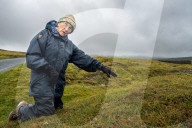 'Just keep going': Margaret Bradshaw the horse-riding 97-year-old botanist battling for England’s wildflowers