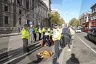 Just Stop Oil protesters near Downing Street in London, UK.