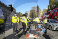 Just Stop Oil protesters near Downing Street in London, UK.