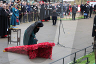 The Queen attends the 95th year of the Field of Remembrance in London, UK.