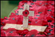 The Queen attends the 95th year of the Field of Remembrance in London, UK.