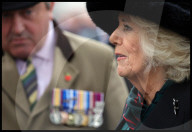 The Queen attends the 95th year of the Field of Remembrance in London, UK.