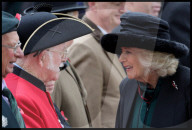 The Queen attends the 95th year of the Field of Remembrance in London, UK.