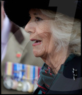 The Queen attends the 95th year of the Field of Remembrance in London, UK.