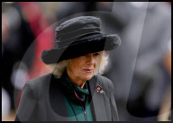 The Queen attends the 95th year of the Field of Remembrance in London, UK.