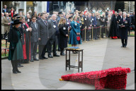 The Queen attends the 95th year of the Field of Remembrance in London, UK.