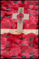 The Queen attends the 95th year of the Field of Remembrance in London, UK.