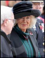 The Queen attends the 95th year of the Field of Remembrance in London, UK.