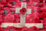 The Queen attends the 95th year of the Field of Remembrance in London, UK.