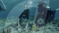 Prince William and Kate Middleton scuba diving in Caribbean