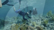 Prince William and Kate Middleton scuba diving in Caribbean