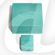 Pokemon get a Tiffany  jewllery collection