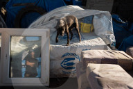 Windows for Ukraine: donations help villagers rebuild shattered homes