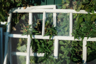 Windows for Ukraine: donations help villagers rebuild shattered homes