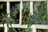 Windows for Ukraine: donations help villagers rebuild shattered homes