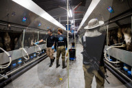 Israeli farms recover after October 7 attack