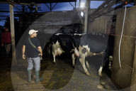 Israeli farms recover after October 7 attack