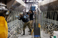 Israeli farms recover after October 7 attack