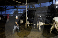 Israeli farms recover after October 7 attack