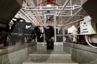 Israeli farms recover after October 7 attack