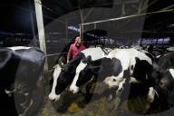 Israeli farms recover after October 7 attack