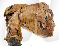 Head of ET movie prop tipped to make $1 million at auction