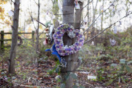 The mystery of the garden of memories at the Angel of the North