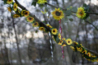 The mystery of the garden of memories at the Angel of the North