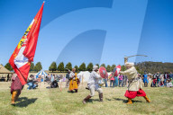 The 50th anniversary of jousting in Australia - in pictures